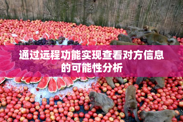 通过远程功能实现查看对方信息的可能性分析