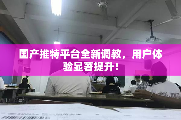 国产推特平台全新调教，用户体验显著提升！