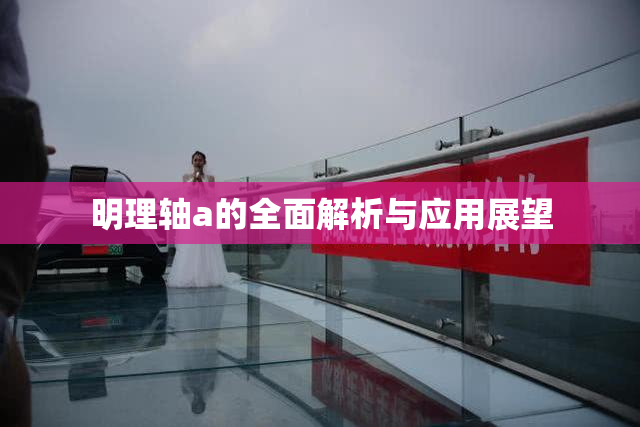 明理轴a的全面解析与应用展望