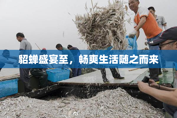 貂蝉盛宴至，畅爽生活随之而来