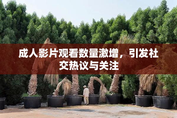 成人影片观看数量激增，引发社交热议与关注