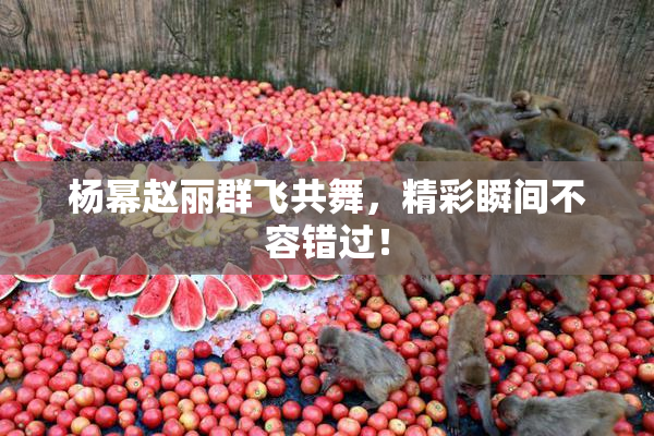 杨幂赵丽群飞共舞，精彩瞬间不容错过！