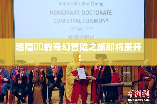 魅魔妺妺的奇幻冒险之旅即将展开！