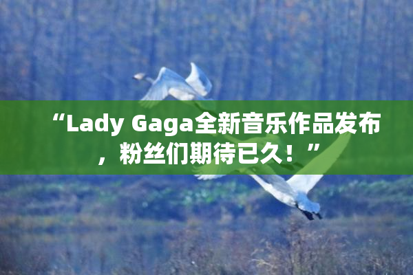 “Lady Gaga全新音乐作品发布，粉丝们期待已久！”