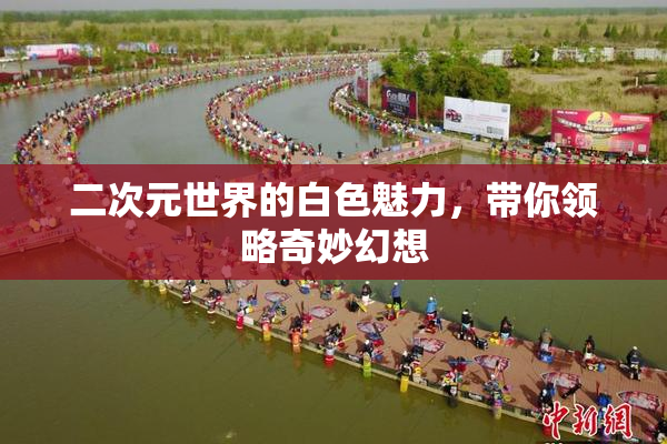 二次元世界的白色魅力，带你领略奇妙幻想
