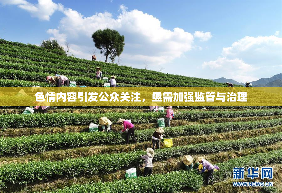 色情内容引发公众关注，亟需加强监管与治理