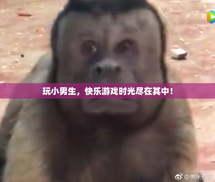 玩小男生，快乐游戏时光尽在其中！