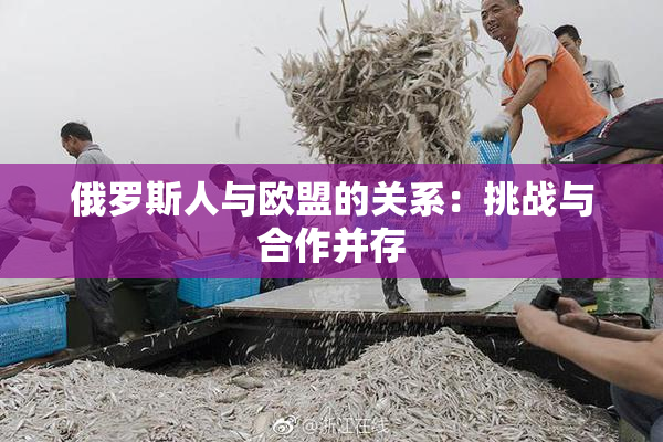 俄罗斯人与欧盟的关系：挑战与合作并存