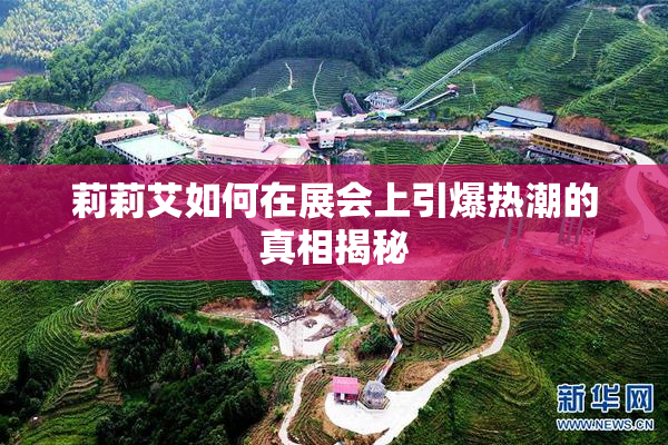 莉莉艾如何在展会上引爆热潮的真相揭秘