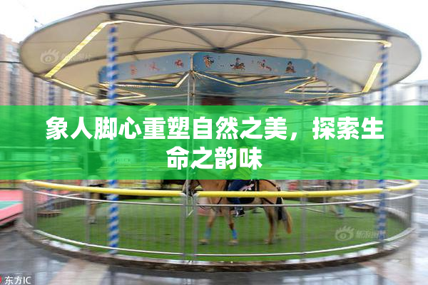 象人脚心重塑自然之美，探索生命之韵味
