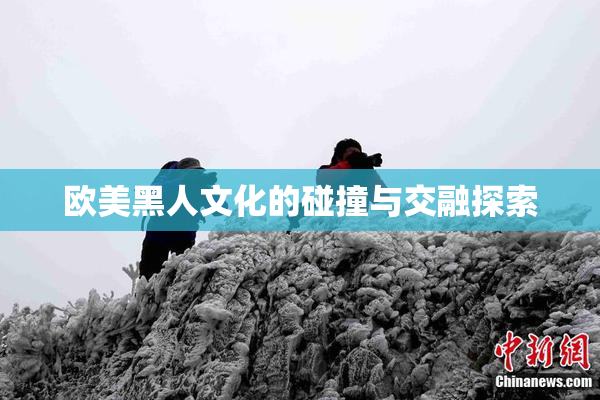 欧美黑人文化的碰撞与交融探索
