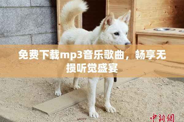 免费下载mp3音乐歌曲，畅享无损听觉盛宴