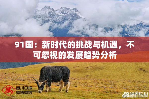 91国：新时代的挑战与机遇，不可忽视的发展趋势分析
