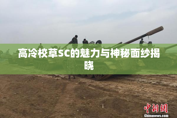 高冷校草SC的魅力与神秘面纱揭晓