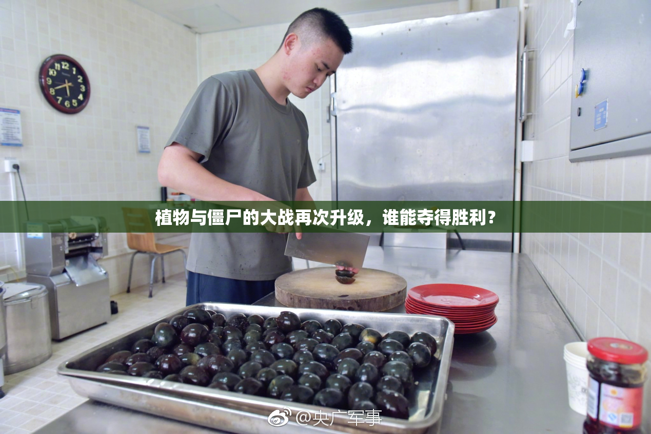 植物与僵尸的大战再次升级，谁能夺得胜利？