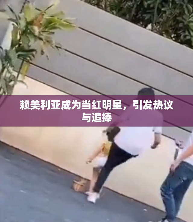 赖美利亚成为当红明星，引发热议与追捧