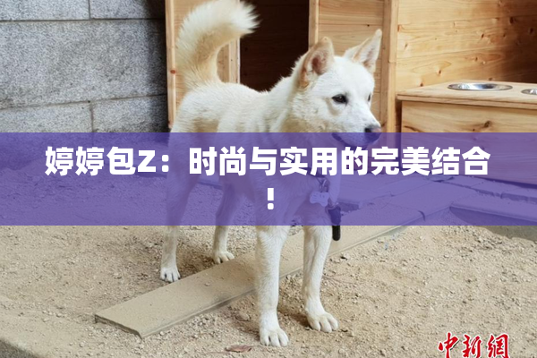 婷婷包Z：时尚与实用的完美结合!