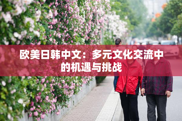 欧美日韩中文：多元文化交流中的机遇与挑战