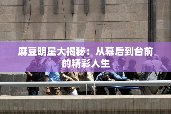 麻豆明星大揭秘：从幕后到台前的精彩人生