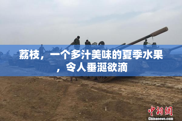 荔枝，一个多汁美味的夏季水果，令人垂涎欲滴