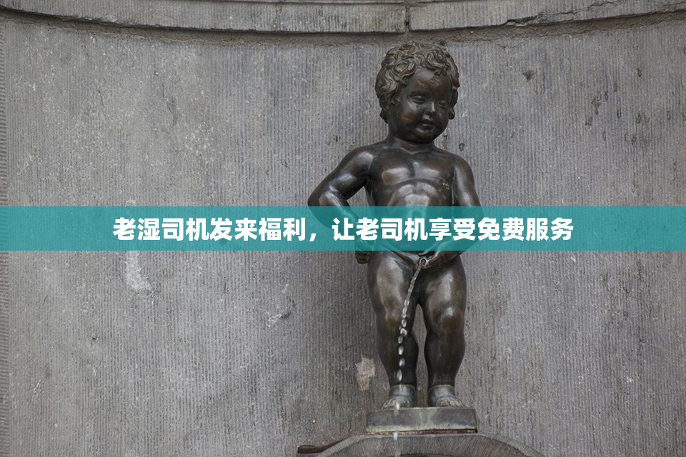老湿司机发来福利，让老司机享受免费服务