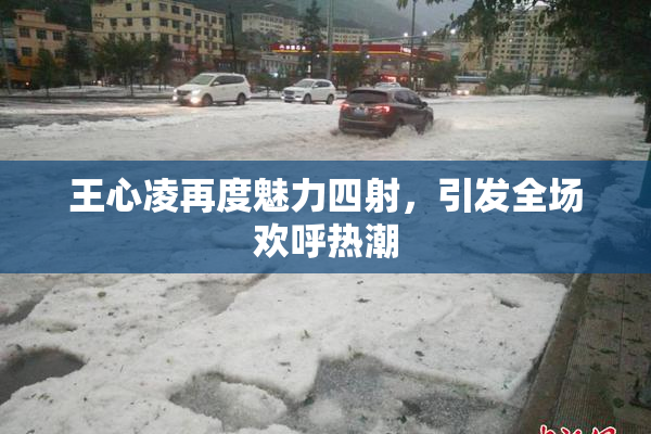 王心凌再度魅力四射，引发全场欢呼热潮