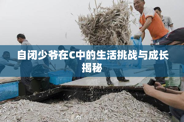 自闭少爷在C中的生活挑战与成长揭秘