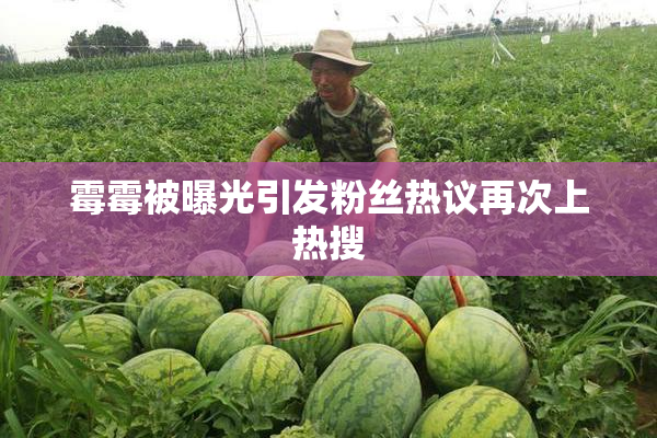 霉霉被曝光引发粉丝热议再次上热搜