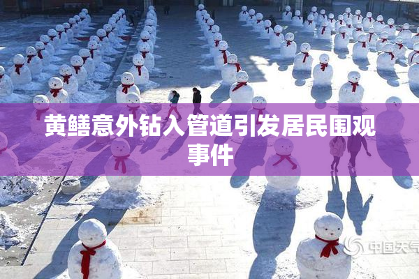 黄鳝意外钻入管道引发居民围观事件
