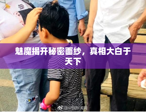 魅魔揭开秘密面纱，真相大白于天下