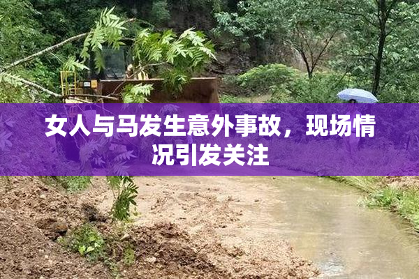女人与马发生意外事故，现场情况引发关注
