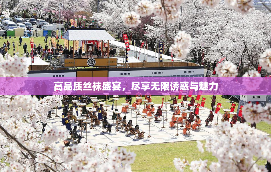 高品质丝袜盛宴，尽享无限诱惑与魅力