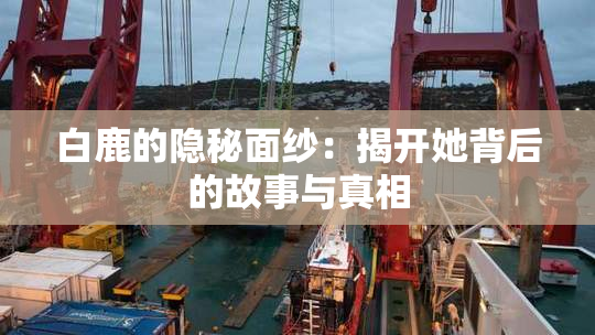 白鹿的隐秘面纱：揭开她背后的故事与真相