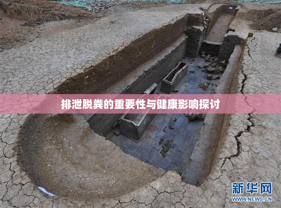 排泄脱粪的重要性与健康影响探讨