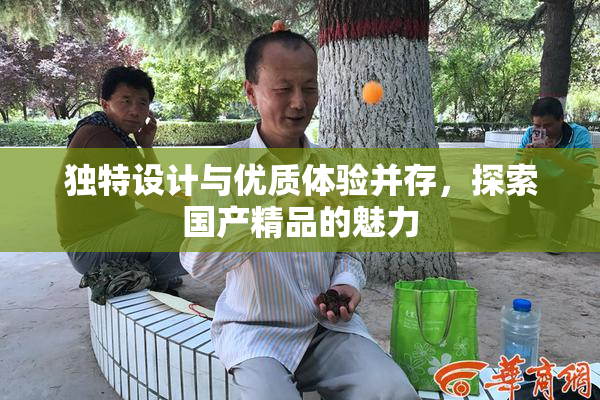 独特设计与优质体验并存，探索国产精品的魅力