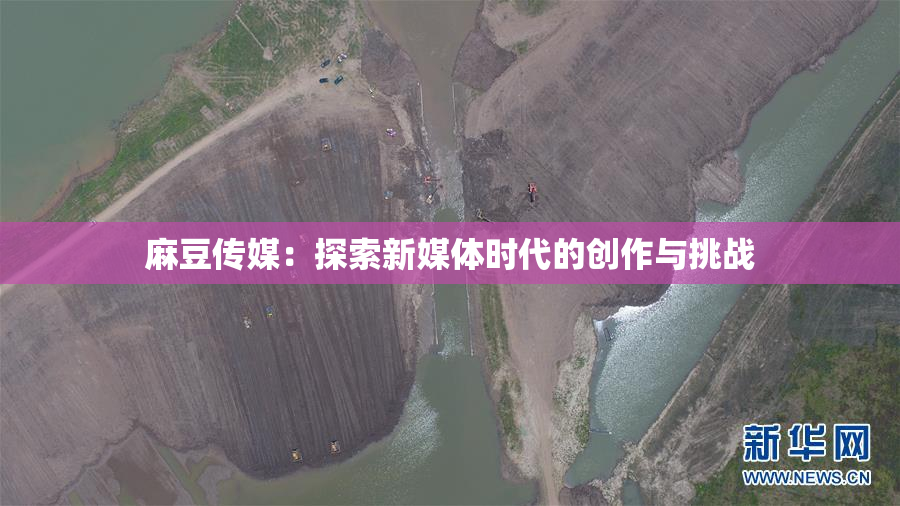 麻豆传媒：探索新媒体时代的创作与挑战