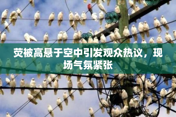 荧被高悬于空中引发观众热议，现场气氛紧张