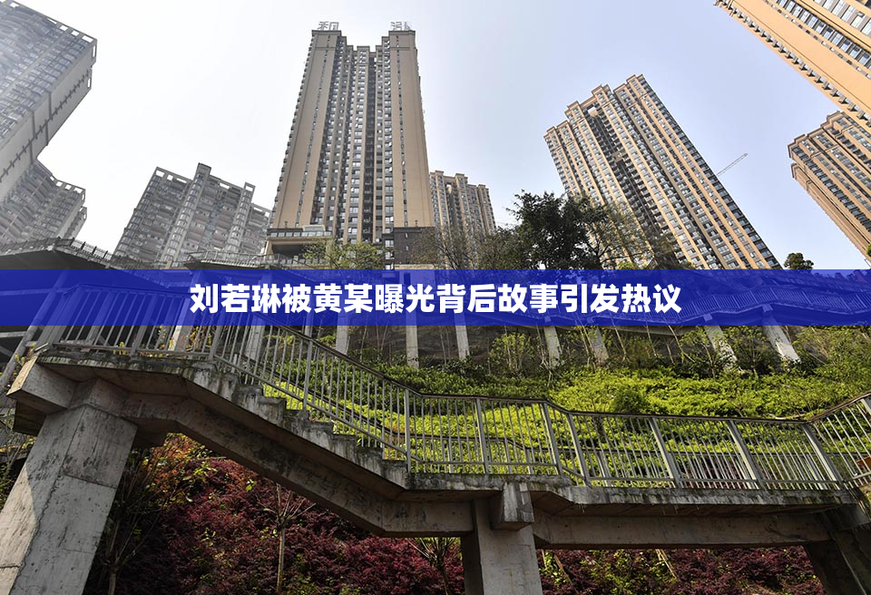 刘若琳被黄某曝光背后故事引发热议