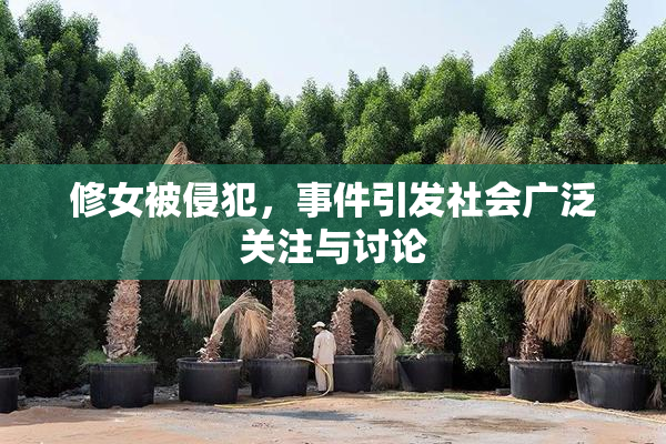 修女被侵犯，事件引发社会广泛关注与讨论