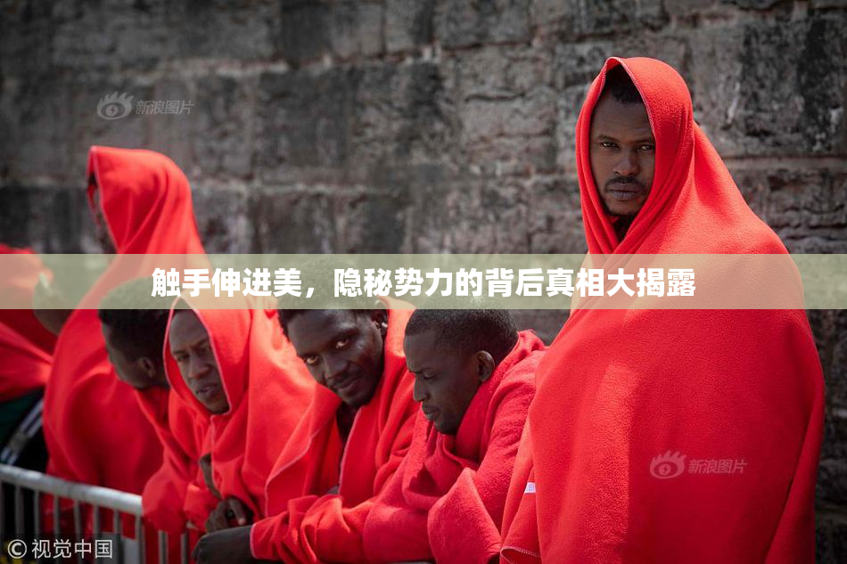 触手伸进美，隐秘势力的背后真相大揭露