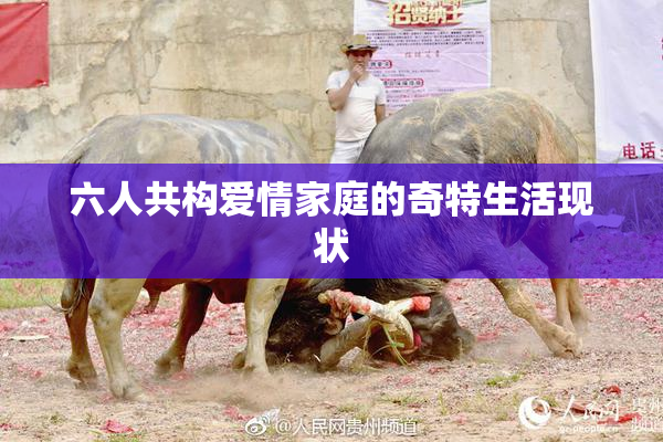 六人共构爱情家庭的奇特生活现状