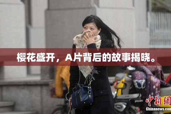 樱花盛开，A片背后的故事揭晓。