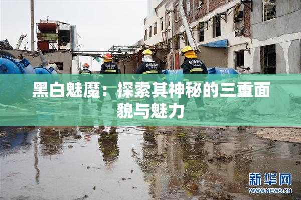 黑白魅魔：探索其神秘的三重面貌与魅力