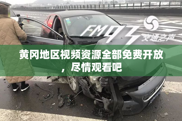 黄冈地区视频资源全部免费开放，尽情观看吧