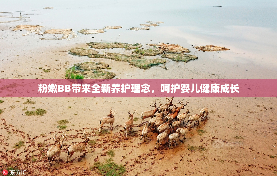 粉嫩BB带来全新养护理念，呵护婴儿健康成长