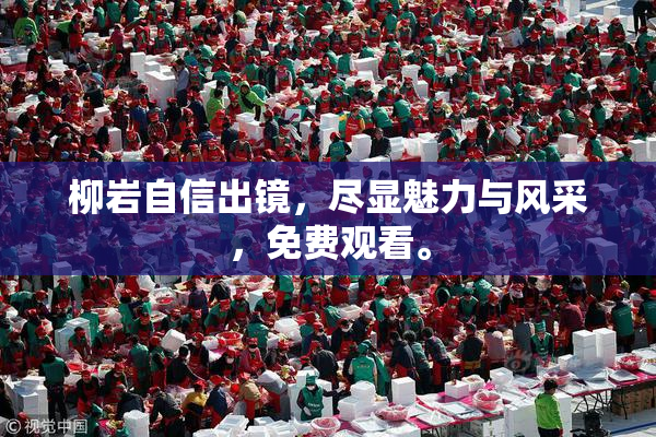 柳岩自信出镜，尽显魅力与风采，免费观看。