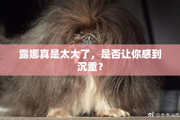 露娜真是太大了，是否让你感到沉重？