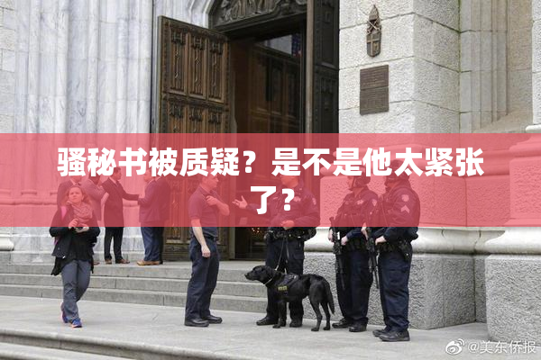 骚秘书被质疑？是不是他太紧张了？