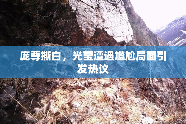 庞尊撕白，光莹遭遇尴尬局面引发热议