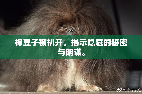 祢豆子被扒开，揭示隐藏的秘密与阴谋。